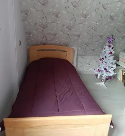 Les Chiwawas D'alsace * Kaysersberg-Vignoble