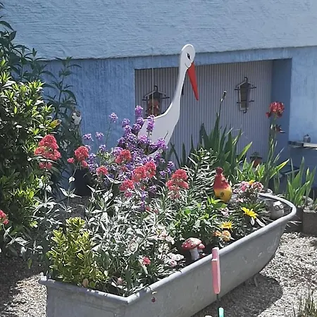 Les Chiwawas D'alsace Appartement