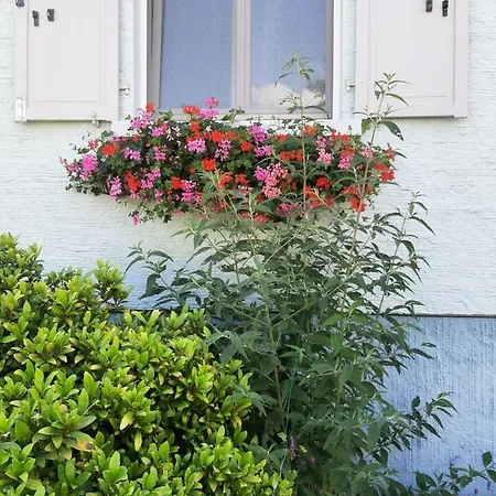 Les Chiwawas D'alsace Apartment