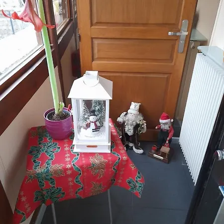 Les Chiwawas D'alsace * Kaysersberg-Vignoble