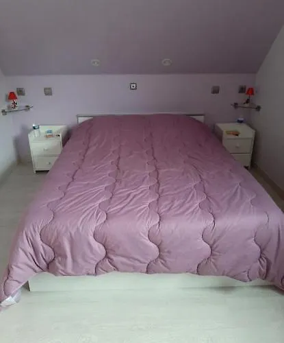 Les Chiwawas D'alsace * Kaysersberg-Vignoble