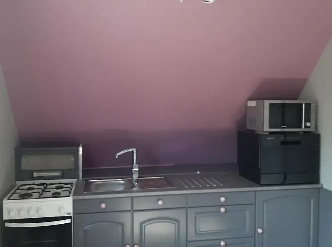 Les Chiwawas D'alsace Kaysersberg-Vignoble