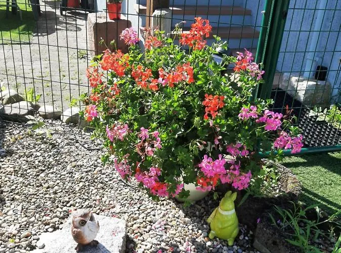 Apartman Les Chiwawas D'alsace