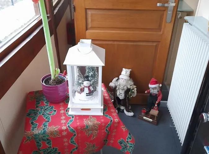 Les Chiwawas D'alsace * Kaysersberg-Vignoble