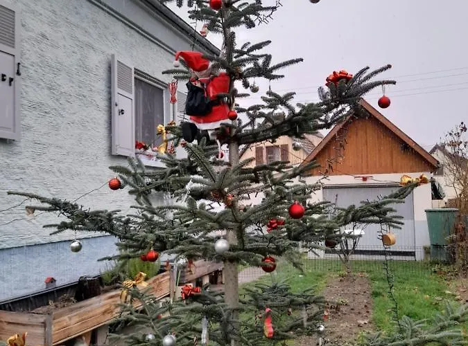 Apartman Les Chiwawas D'alsace Kaysersberg-Vignoble